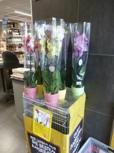 海外のお花|「保原屋生花店」　（福島県伊達郡川俣町の花屋）のブログ