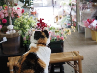 「保原屋生花店」　（福島県伊達郡川俣町）の花屋店舗写真3